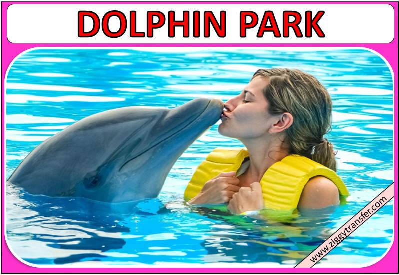 Marmaris Dolphin Park